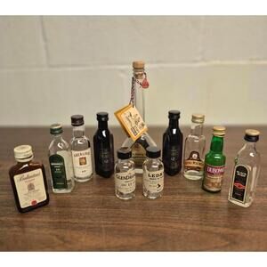 Assorted Miniature Liquor Bottles Collection